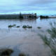 Inundación industria plástico Murcia LDS